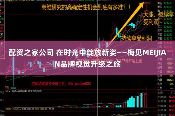 配资之家公司 在时光中绽放新姿——梅见MEIJIAN品牌视觉升级之旅