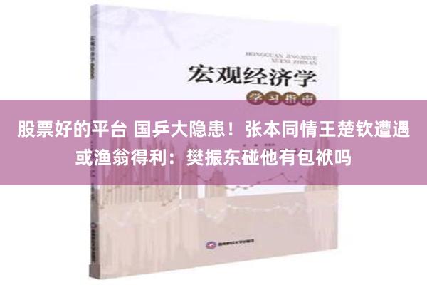 股票好的平台 国乒大隐患！张本同情王楚钦遭遇或渔翁得利：樊振东碰他有包袱吗