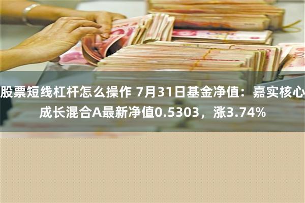 股票短线杠杆怎么操作 7月31日基金净值：嘉实核心成长混合A最新净值0.5303，涨3.74%