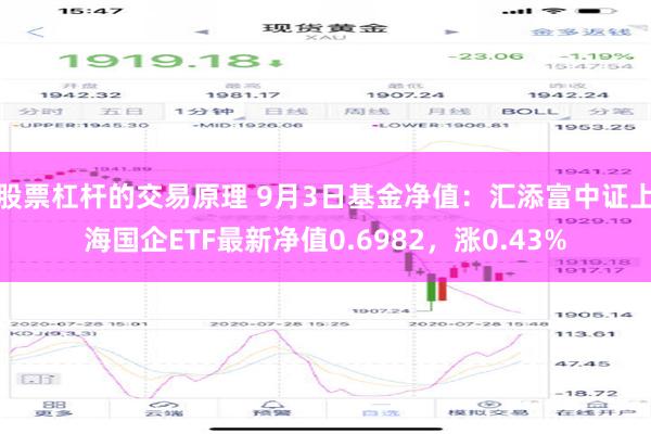 股票杠杆的交易原理 9月3日基金净值：汇添富中证上海国企ETF最新净值0.6982，涨0.43%