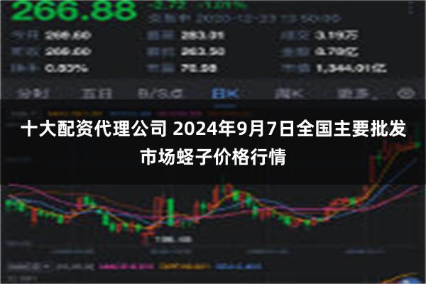 十大配资代理公司 2024年9月7日全国主要批发市场蛏子价格行情