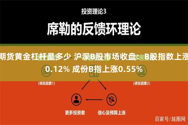 期货黄金杠杆是多少 沪深B股市场收盘：B股指数上涨0.12% 成份B指上涨0.55%