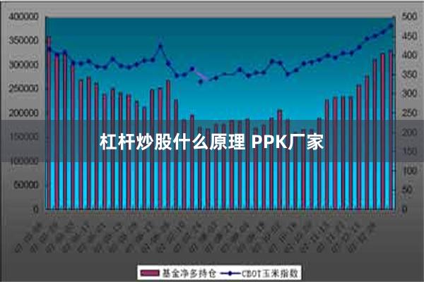 杠杆炒股什么原理 PPK厂家