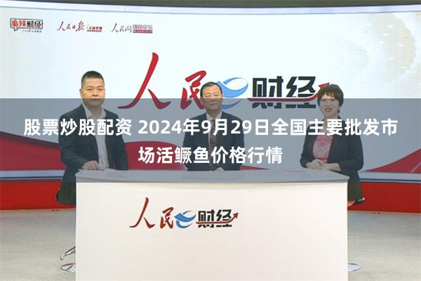 股票炒股配资 2024年9月29日全国主要批发市场活鳜鱼价格行情