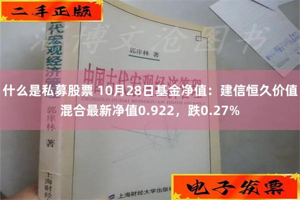 什么是私募股票 10月28日基金净值：建信恒久价值混合最新净值0.922，跌0.27%