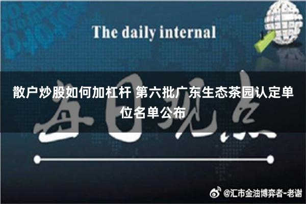 散户炒股如何加杠杆 第六批广东生态茶园认定单位名单公布