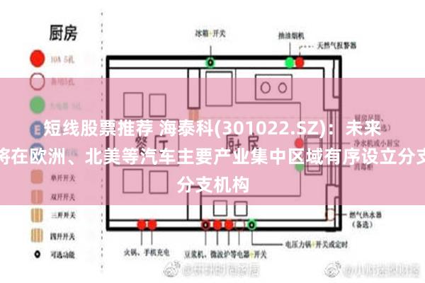 短线股票推荐 海泰科(301022.SZ)：未来公司将在欧洲、北美等汽车主要产业集中区域有序设立分支机构