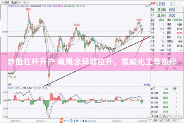 炒股杠杆开户 氟概念异动拉升，氯碱化工等涨停