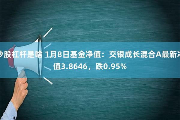 炒股杠杆是啥 1月8日基金净值：交银成长混合A最新净值3.8646，跌0.95%