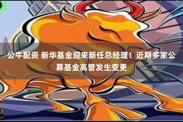 公牛配资 新华基金迎来新任总经理！近期多家公募基金高管发生变更