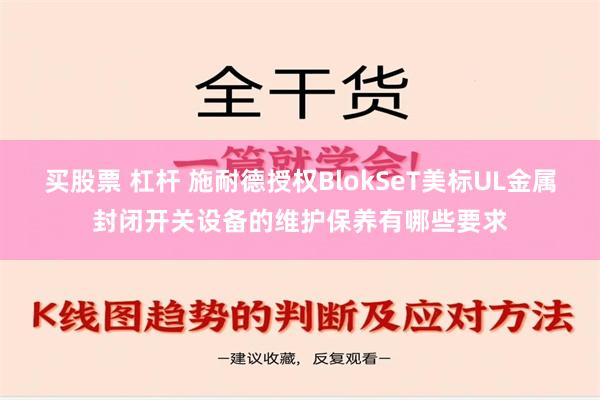 买股票 杠杆 施耐德授权BlokSeT美标UL金属封闭开关设备的维护保养有哪些要求